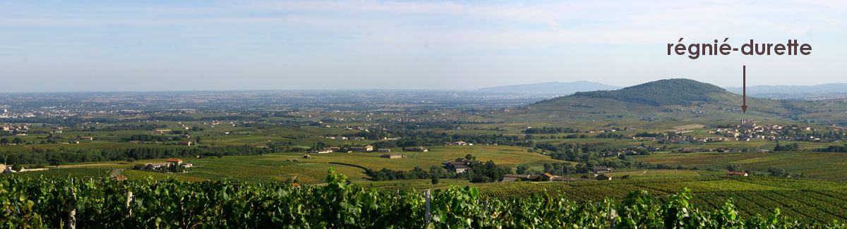 Panorama Beaujolais vallée de la Saône